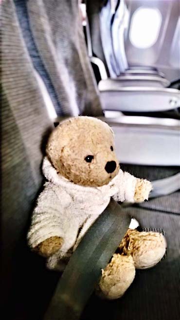 Auf großer Reise - Foster im Flugzeug nach Helsinki (von Benjamin Erhardt) Auf großer Reise - Foster im Flugzeug nach Helsinki (von Benjamin Erhardt)