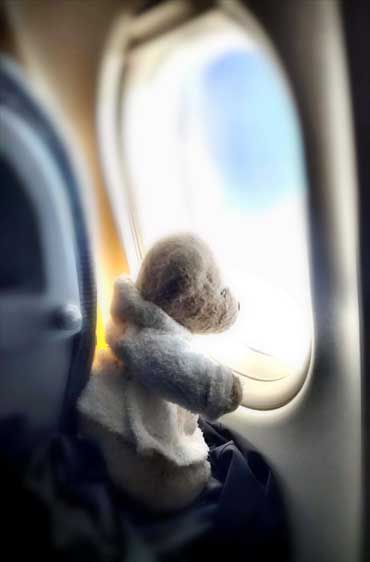Im Flugzeug nach Japan - Fosters Fernweh (von Benjamin Erhardt) Im Flugzeug nach Japan - Fosters Fernweh (von Benjamin Erhardt)
