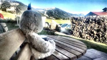 Ein wenig Heim- und ein wenig Fernweh - Foster mit Blick ins Allgäu (von Benjamin Erhardt) Ein wenig Heim- und ein wenig Fernweh - Foster mit Blick ins Allgäu (von Benjamin Erhardt)