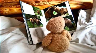 Ein Bilderbuch fasziniert - Foster studiert seine Bären Verwandten (von Benjamin Erhardt) Ein Bilderbuch fasziniert - Foster studiert seine Bären Verwandten (von Benjamin Erhardt)