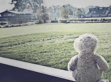 Ruhe vor dem Sturm - Foster beim Golfturnier (von Benjamin Erhardt) Ruhe vor dem Sturm - Foster beim Golfturnier (von Benjamin Erhardt)