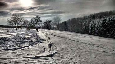 Artworks rund um den Winter und sein 'weißes Gesicht' (2013, 2014) - Serie 'Winterlandschaften' (von Benjamin Erhardt)