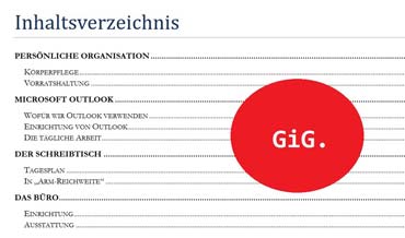 Die Organisation eines effizienten und effektiven Alltags - GiG. Der Alltag (von Benjamin Erhardt)