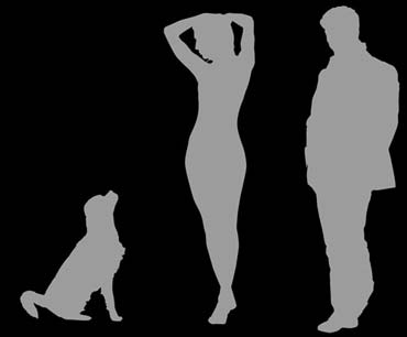 Vom Photo zum individuellen Kunstwerk - Silhouetten-Platten (von Benjamin Erhardt)