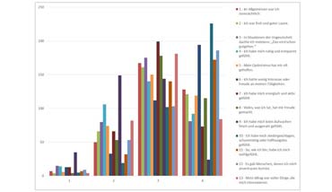 Zur mentalen Befindlichkeit im Spitzensport - Statistische Fallstudie (von Benjamin Erhardt)